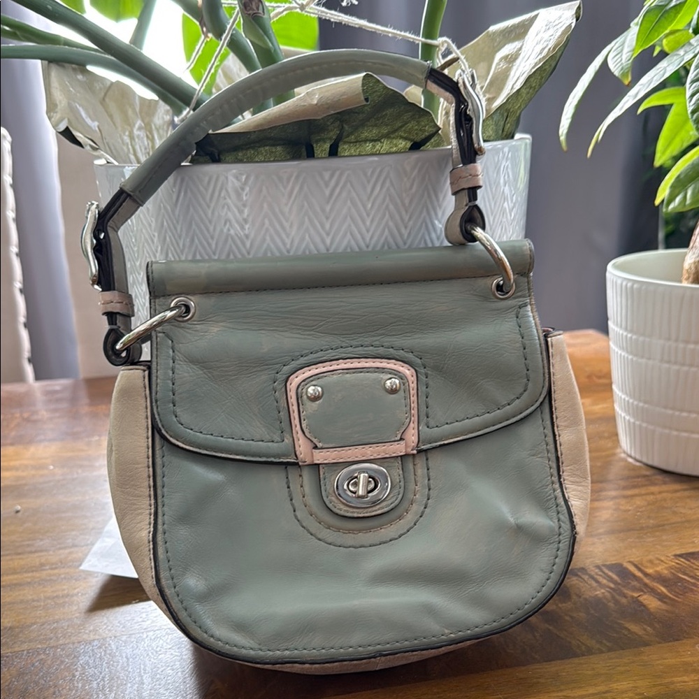 Coach 19031 Willis Crossbody Handbag